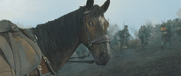 590_war-horse