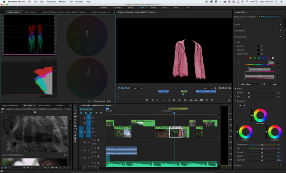 Adobe Premiere Pro Lumetri panel HSL secondaries