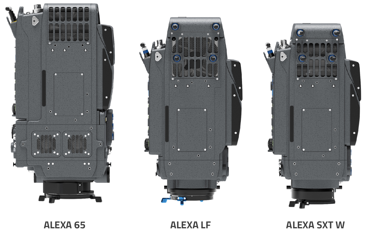 Alexa LF size comparison