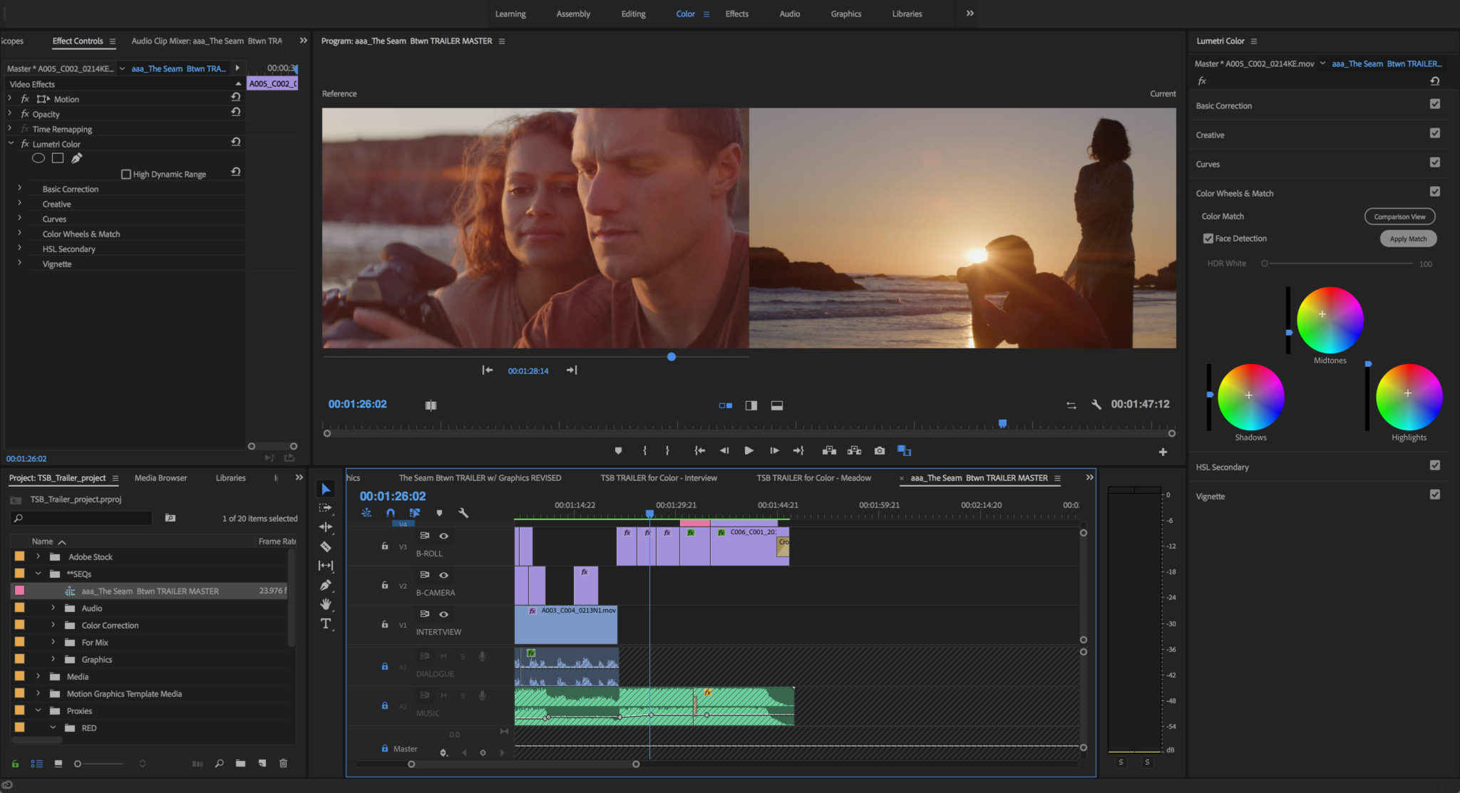 screen grab from Premiere Pro