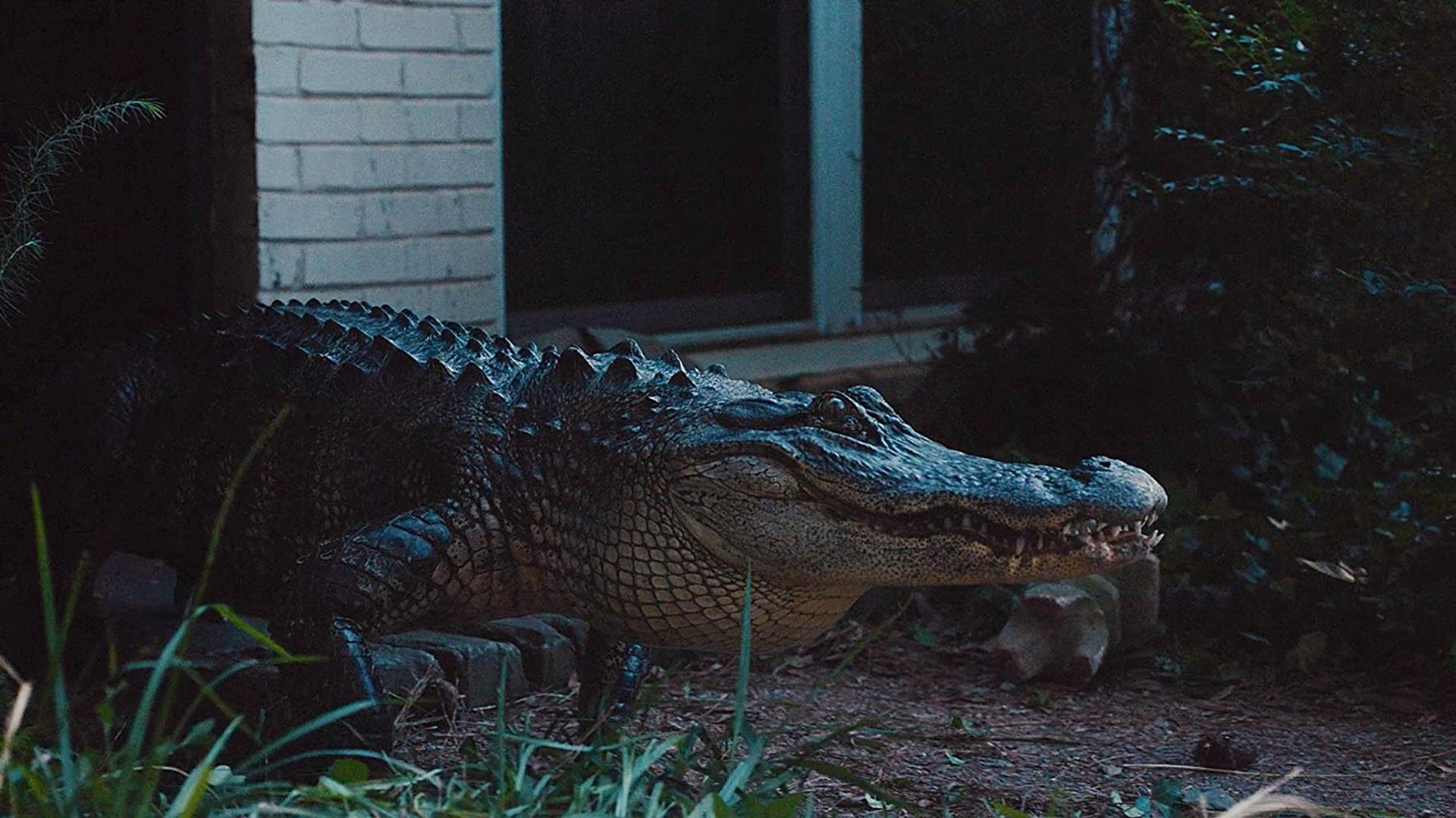 Scene from "Alligator Man"