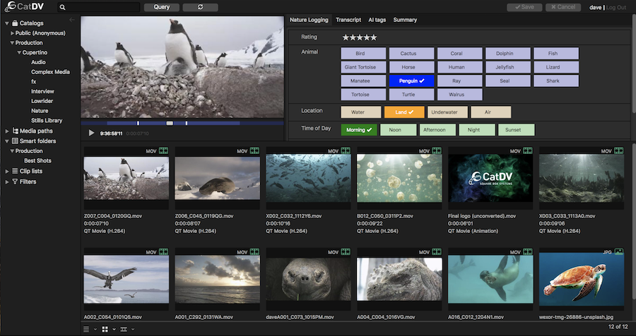 CatDV media management tools