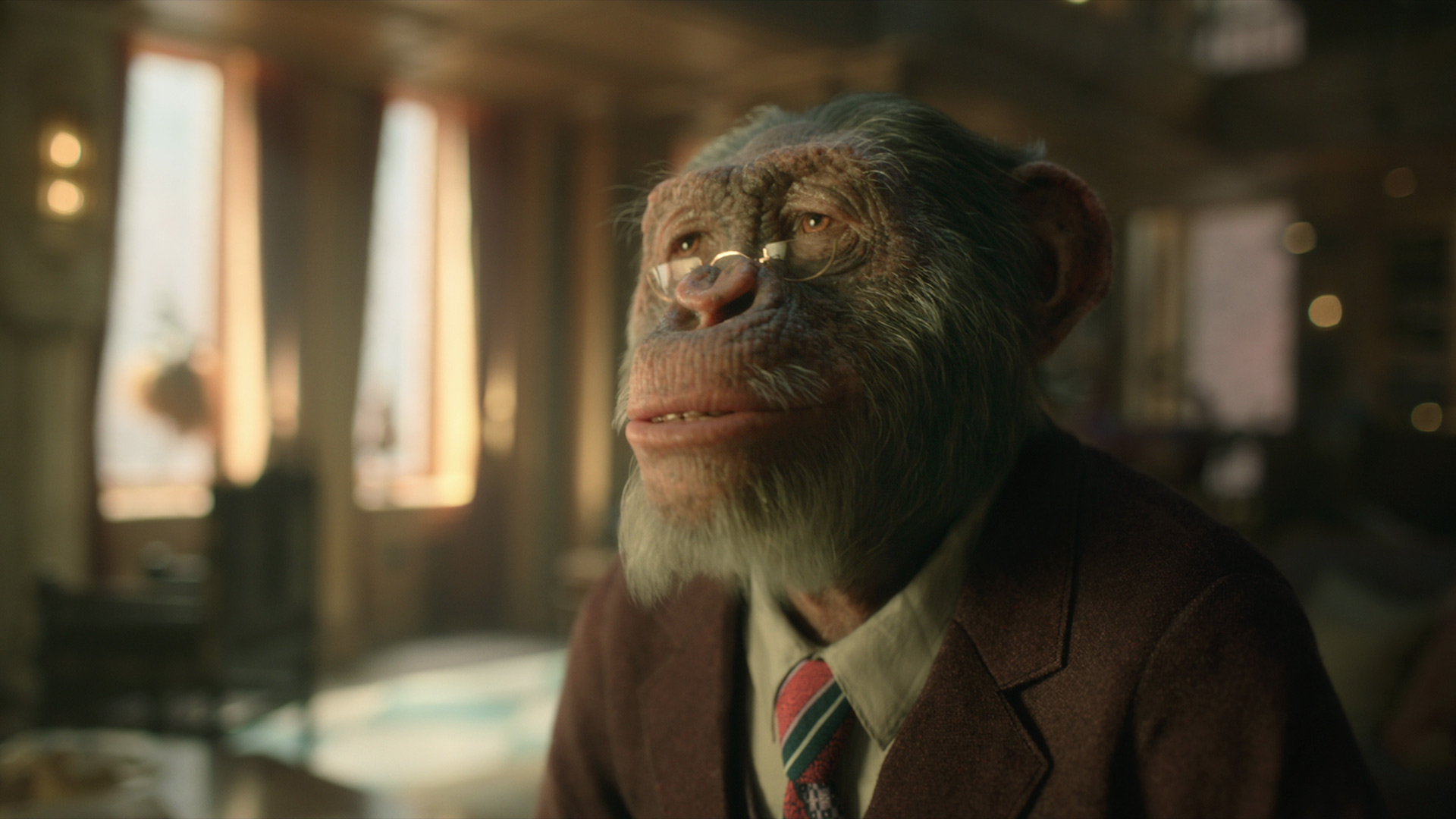 Calling The Ape Experts How Dr Pogo From Netflix S The