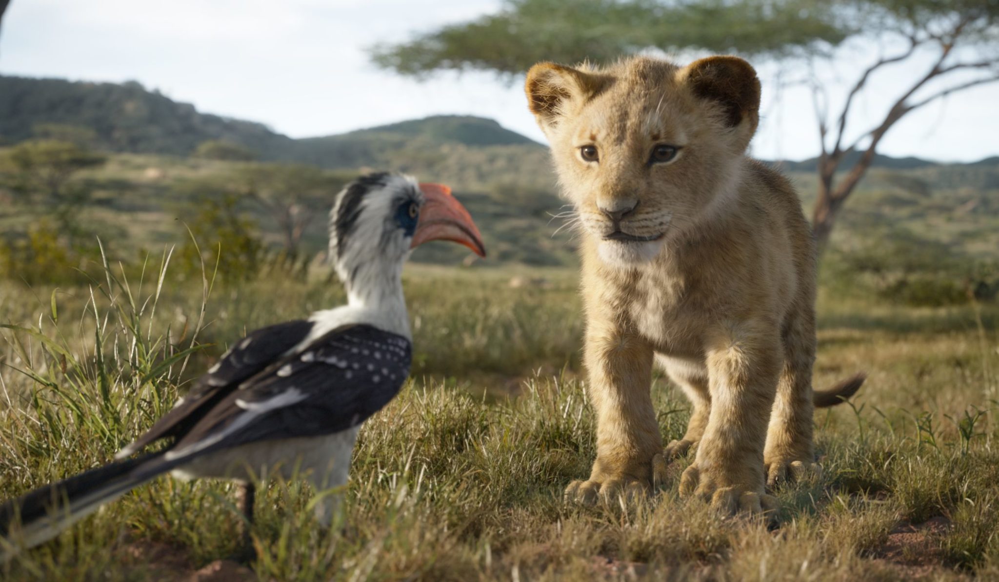 Photoreal animated characters in <i>The Lion King</i>.